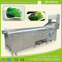 PT-2000 Industrial Vegetable /Seafood Blanching Machine